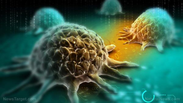 Chimiothérapie trouvée pour activer le mécanisme de croissance des tumeurs cancéreuses dans le corps